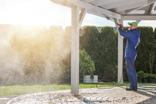 Best Roof Washing  in Belford, NJ
